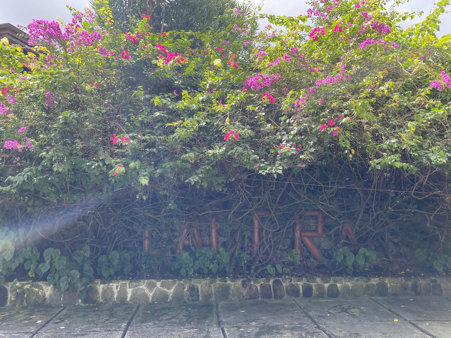 The Wedding Website of Rachel Giesey and Gregory Delost