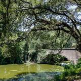 Audubon Park
