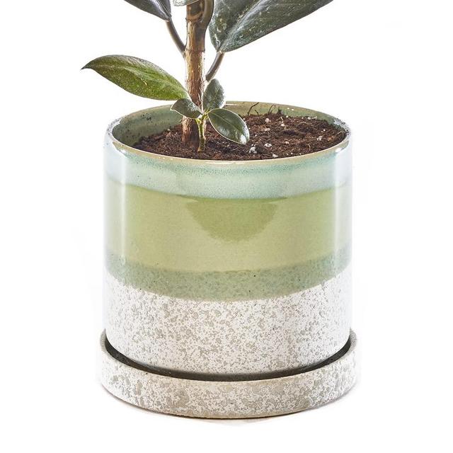 CHIVE ‘Minute’ Ceramic Planter Pot — Cute 5” Colorful Succulent Pots for Indoor & Outdoor House Plants — Beautiful Modern Farmhouse Kitchen Decor — Green Cement