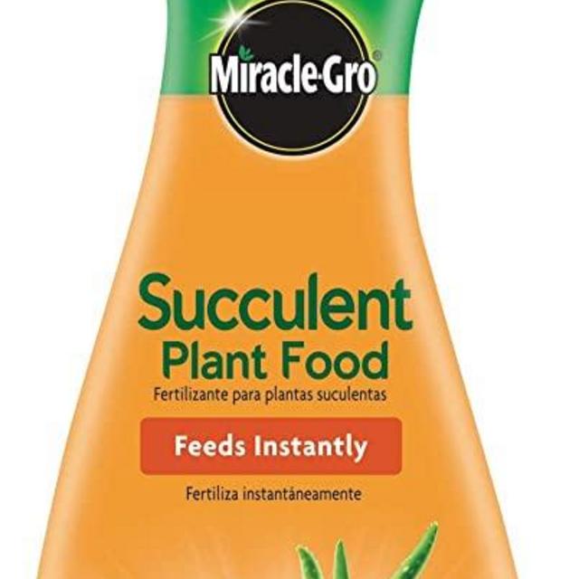 Miracle-Gro Succulent Plant Food, 8 Oz., For Succulents including Cacti, Jade, And Aloe, 1 Pack