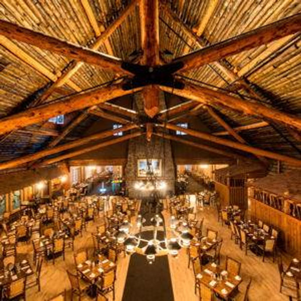 Dinner in Yellowstone