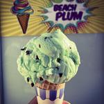 Beach Plum