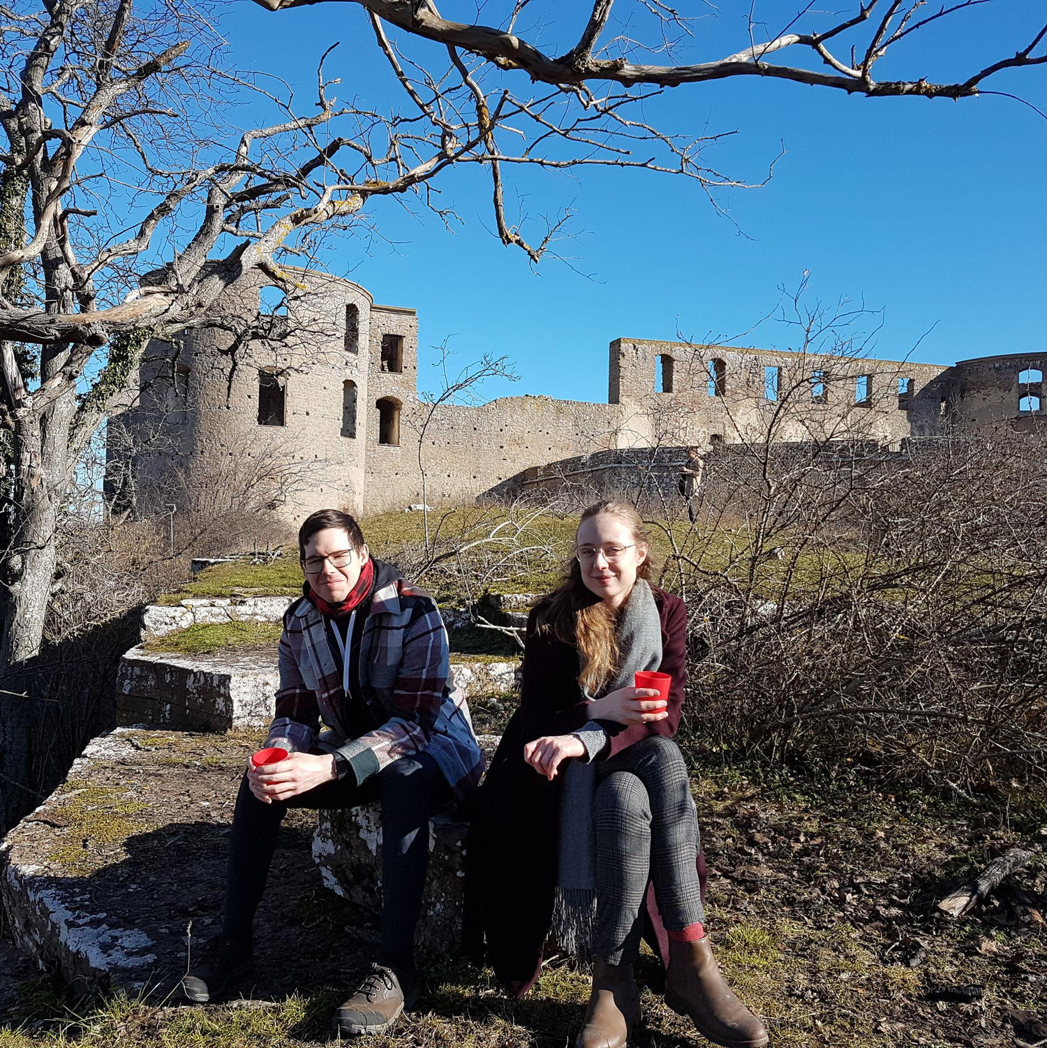 Borgholm slottsruin, Februari 2021