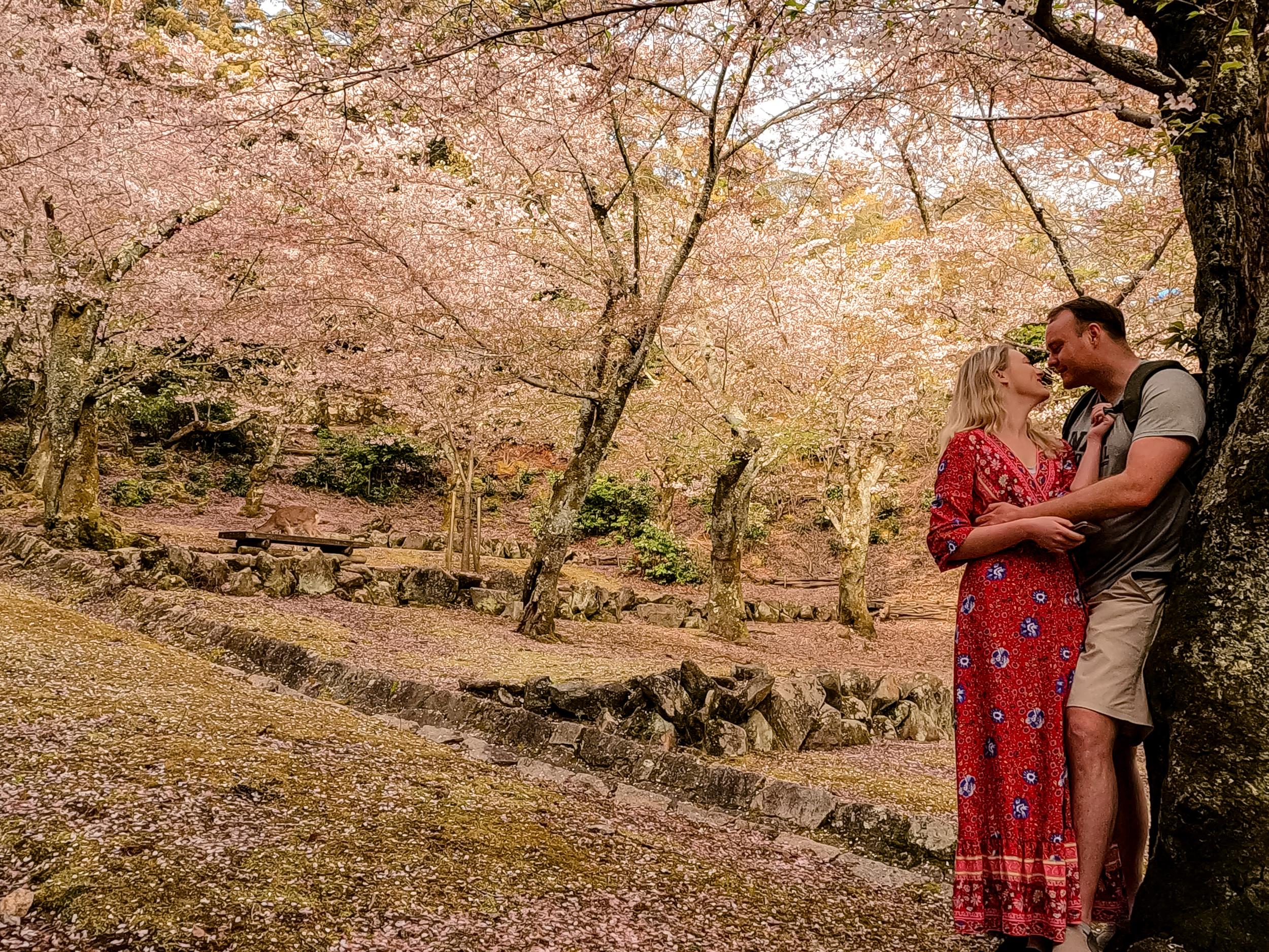 f40a3a3b-5a18-4595-94e2-ad2dfc6743a2