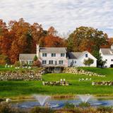 Tree House Farm Brewery