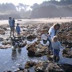 J V Fitzgerald Marine Reserve