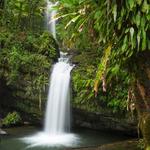 El Yunque National Forest
