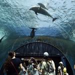 National Aquarium