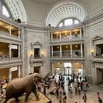 Smithsonian museums