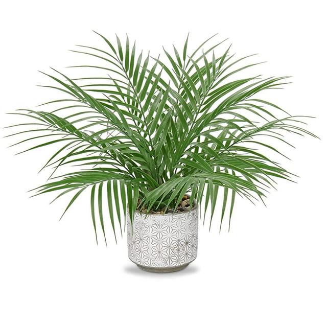 Hollyone Large Artificial Potted Plants Fake Palm Plants 16" Faux Green Plant Plastic Ceramic Tropical Palm Tree in Pots Bohemian for Home Room Office House Indoor Decoration