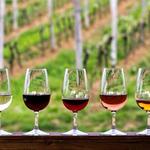 Wine Tasting