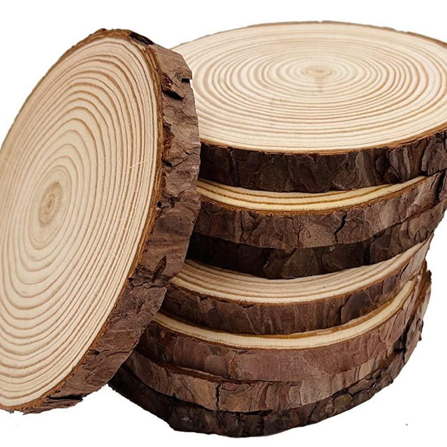 Unfinished Natural with Tree Bark Wood Slices 8 Pcs 5.5-6 inch Disc Coasters Wood Coaster Pieces Craft Wood kit Circles Crafts Christmas Ornaments DIY Crafts with Bark for Crafts Rustic Wedding