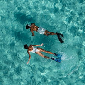 Scuba or Snorkel On Our Honeymoon