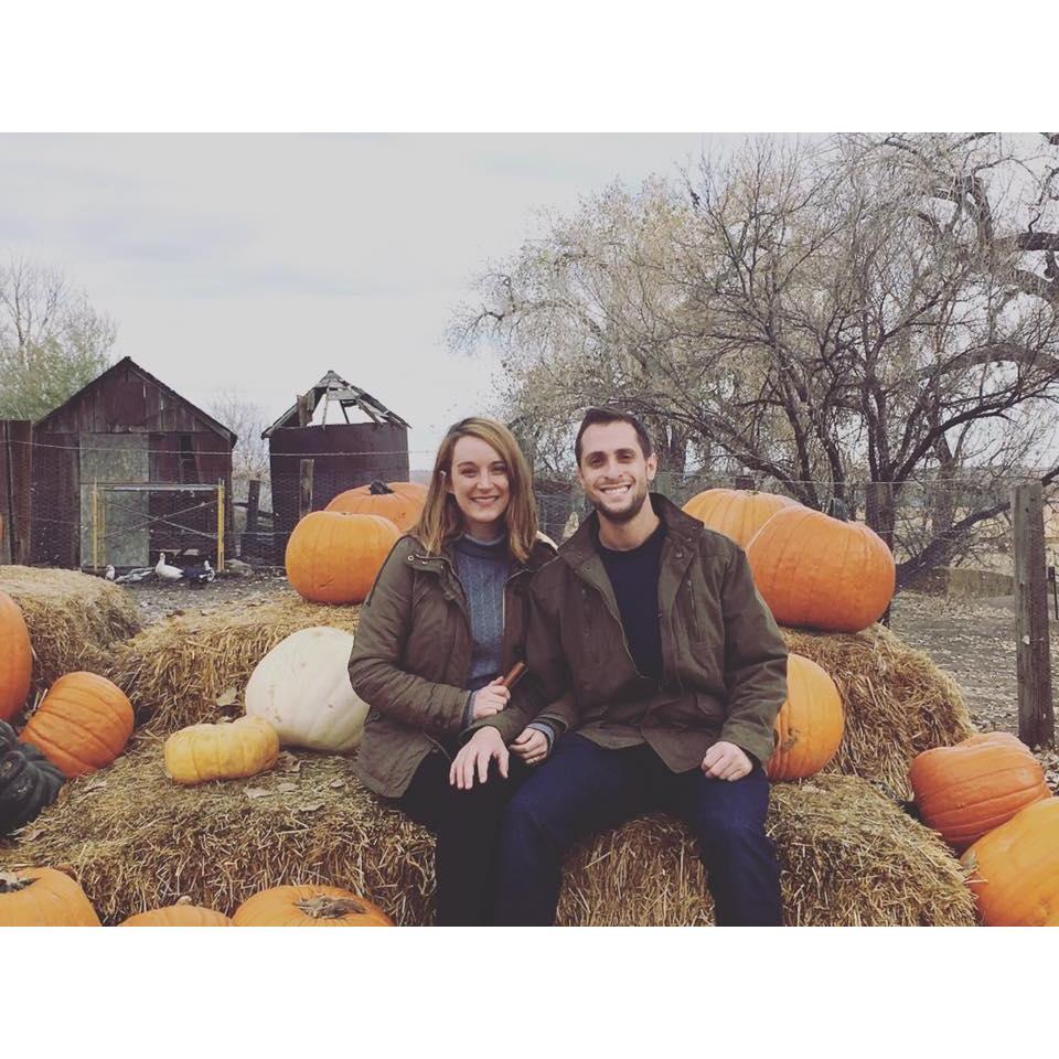 Pumpkin patch