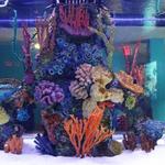 The Maritime Aquarium at Norwalk