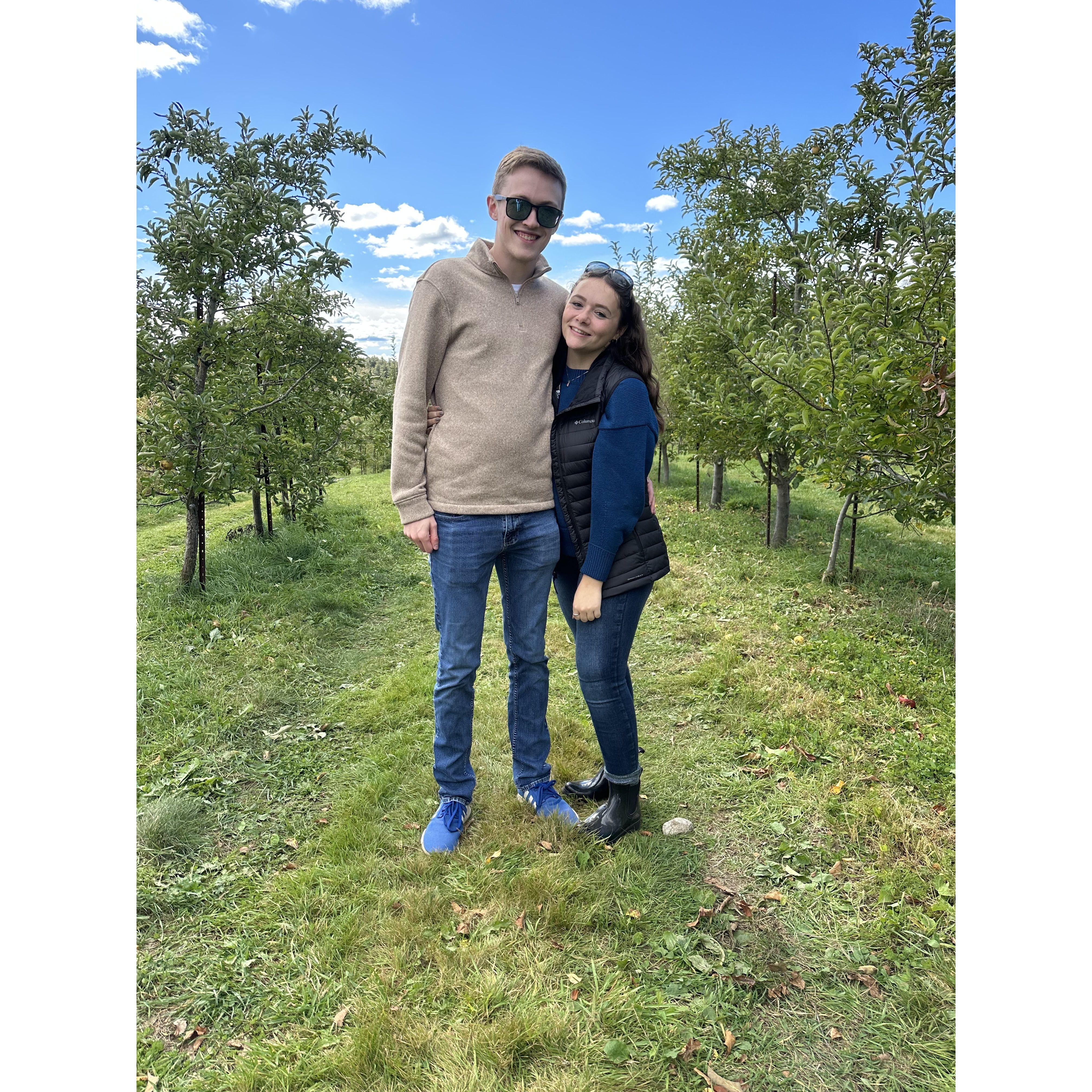 Attempted apple picking, October 2023.