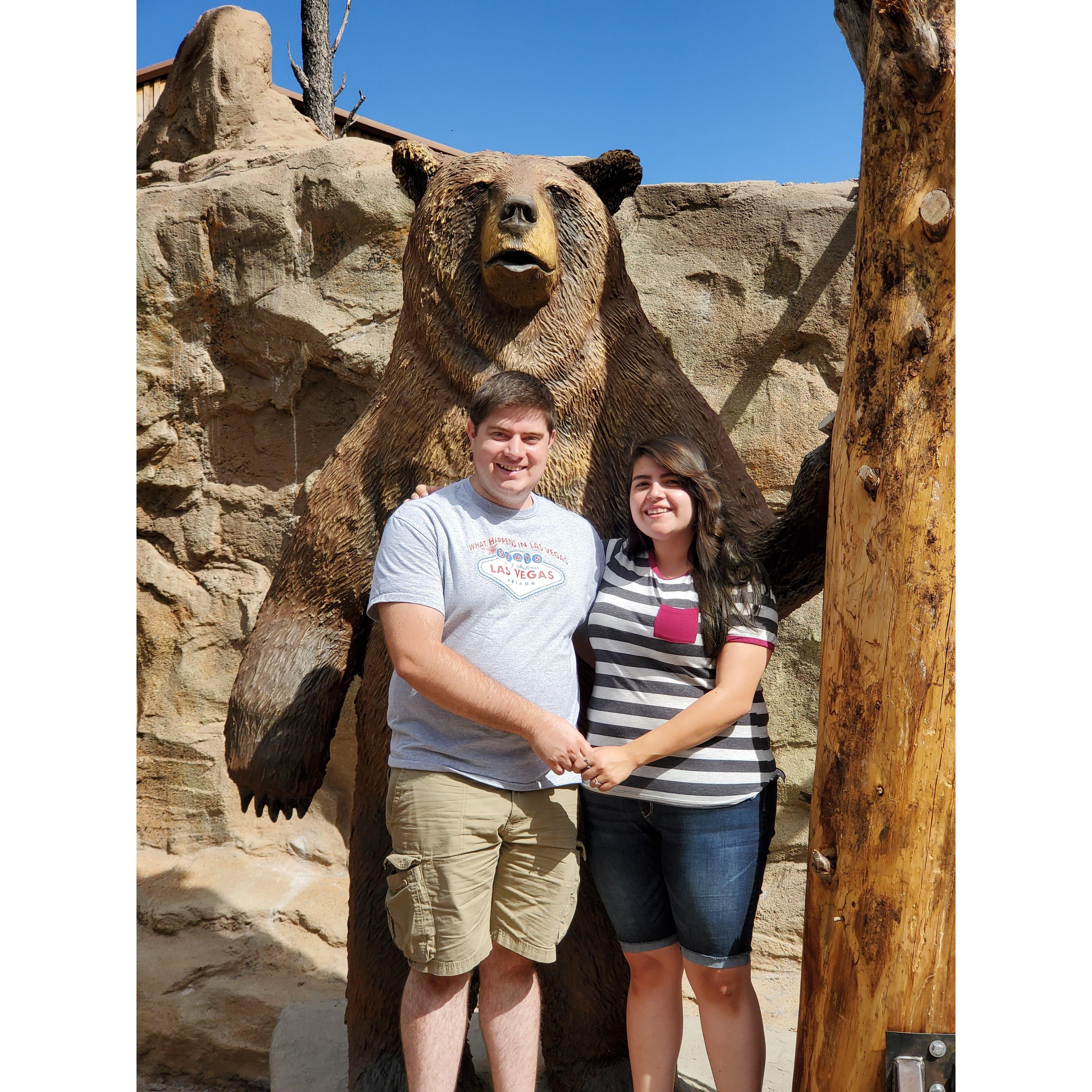 Bearizona wild life park