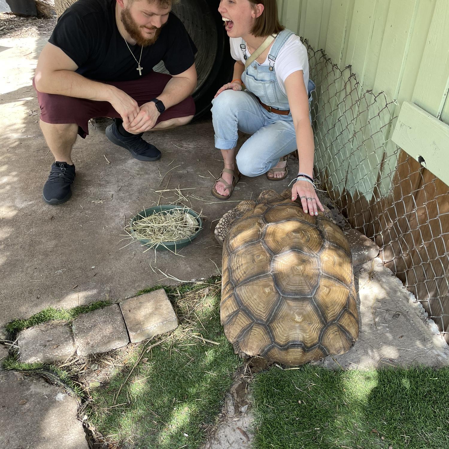 Steven putting up with my love of turtles
