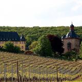 Schloss Vollrads