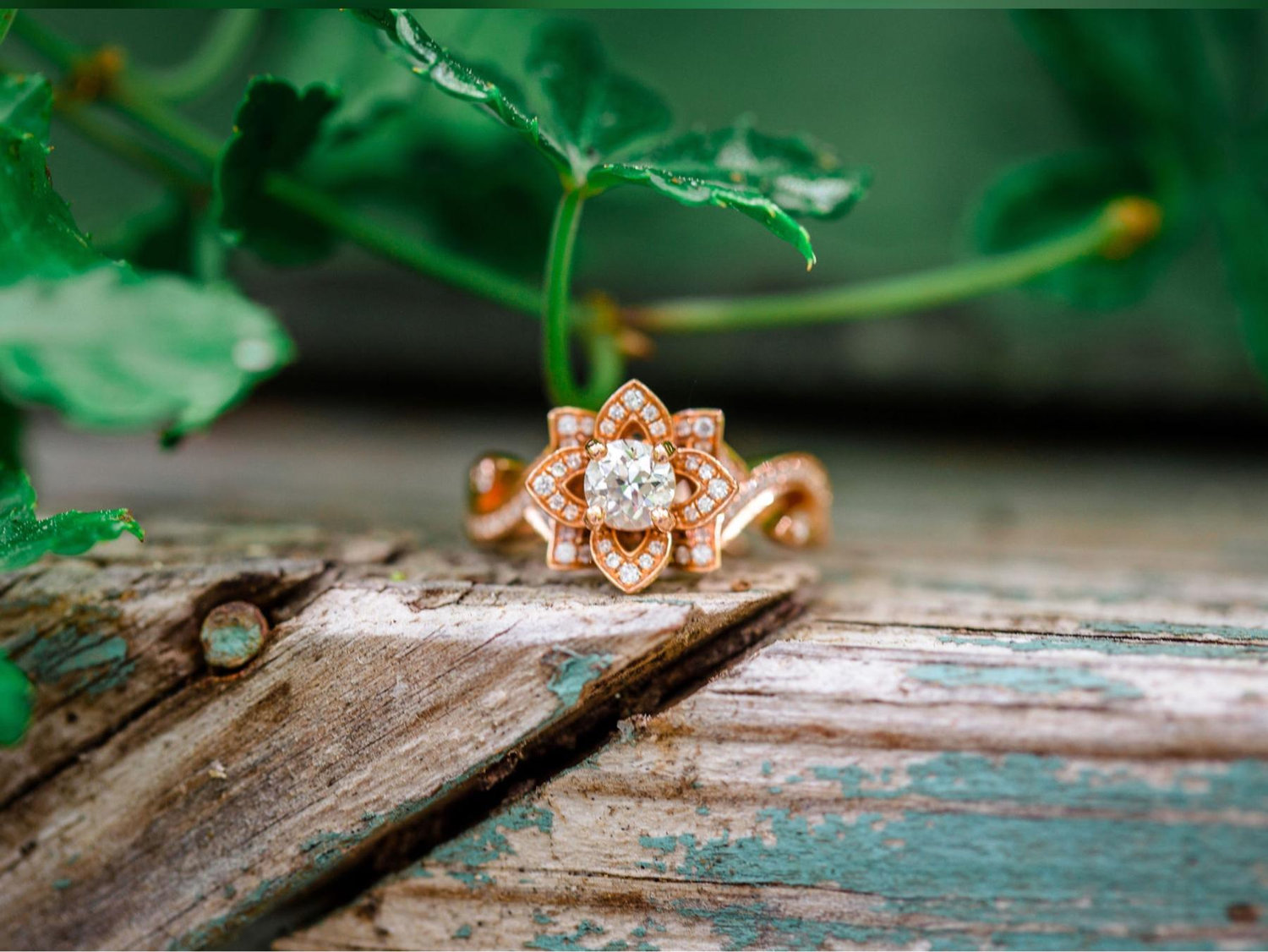 The Wedding Website of Nicole Ferrara and Ryan Cummings