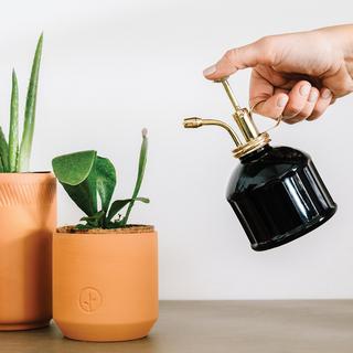 Plant Mister