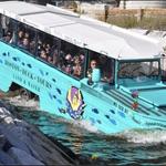 Duck Tour