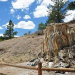 Florissant Fossil Beds National Monument