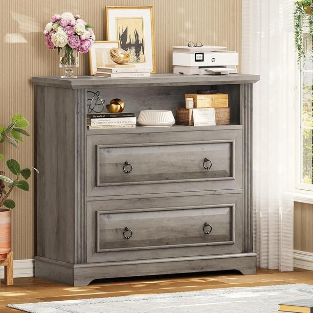 Itaar 2 Drawer File Cabinet, Farmhouse Filing Cabinet for Home Office Fits Letter, Legal, A4 Size, Wood Lateral File Cabinet with Printer Stand, Storage Shelf, Grey