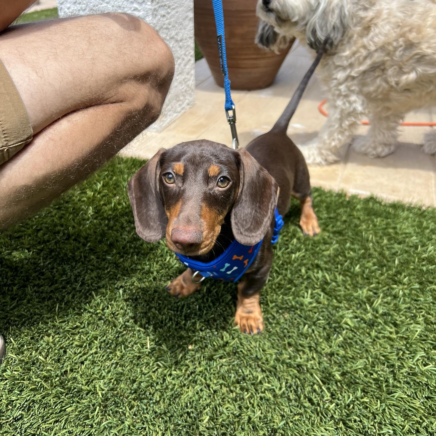 Portillo growing up 🥹