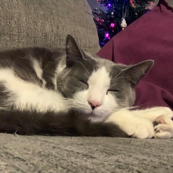 This is Sweetpea