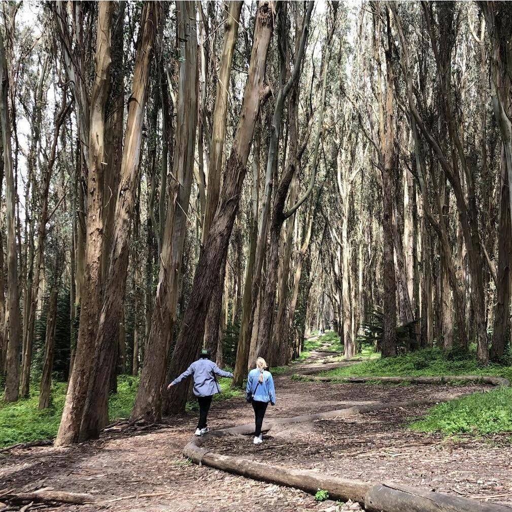 Lovers' Lane Trail, SF — April 27, 2019