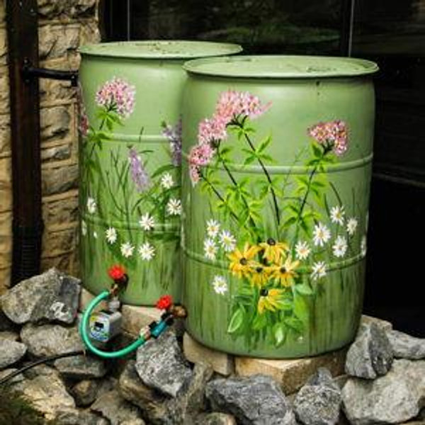 Rain Barrel