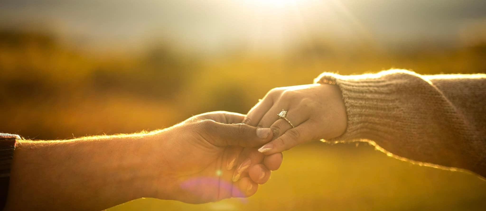 The Wedding Website of Abigail Mickle and Dawson Hoffman