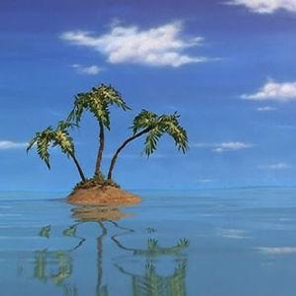 Hawaii Honeymoon Fund!!