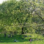 Prospect Park