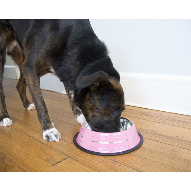 Non-Skid Pet Bowl (Set of 2)