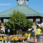 Eau Claire Downtown Farmers Market