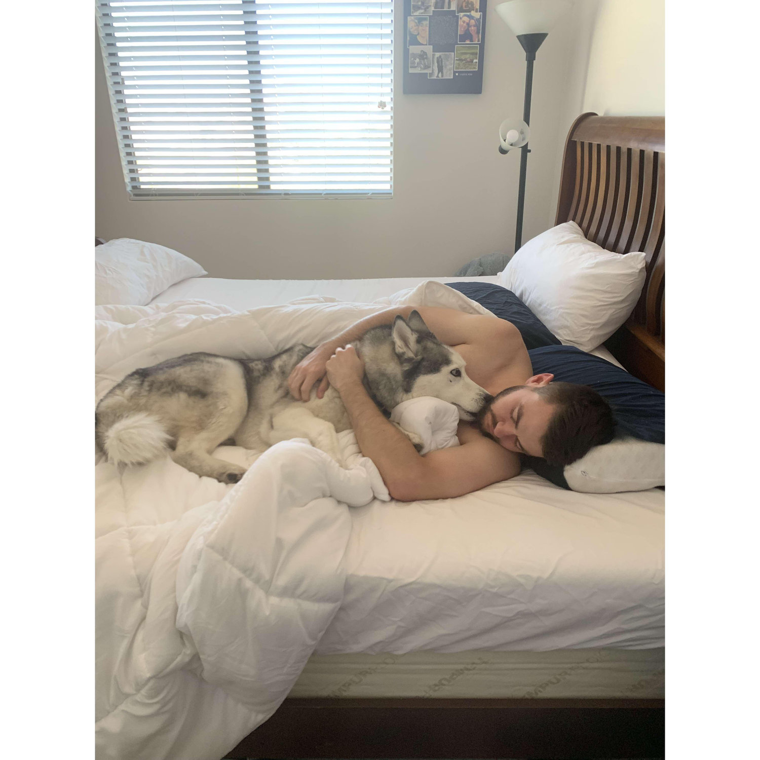Morning snuggles with Flashington