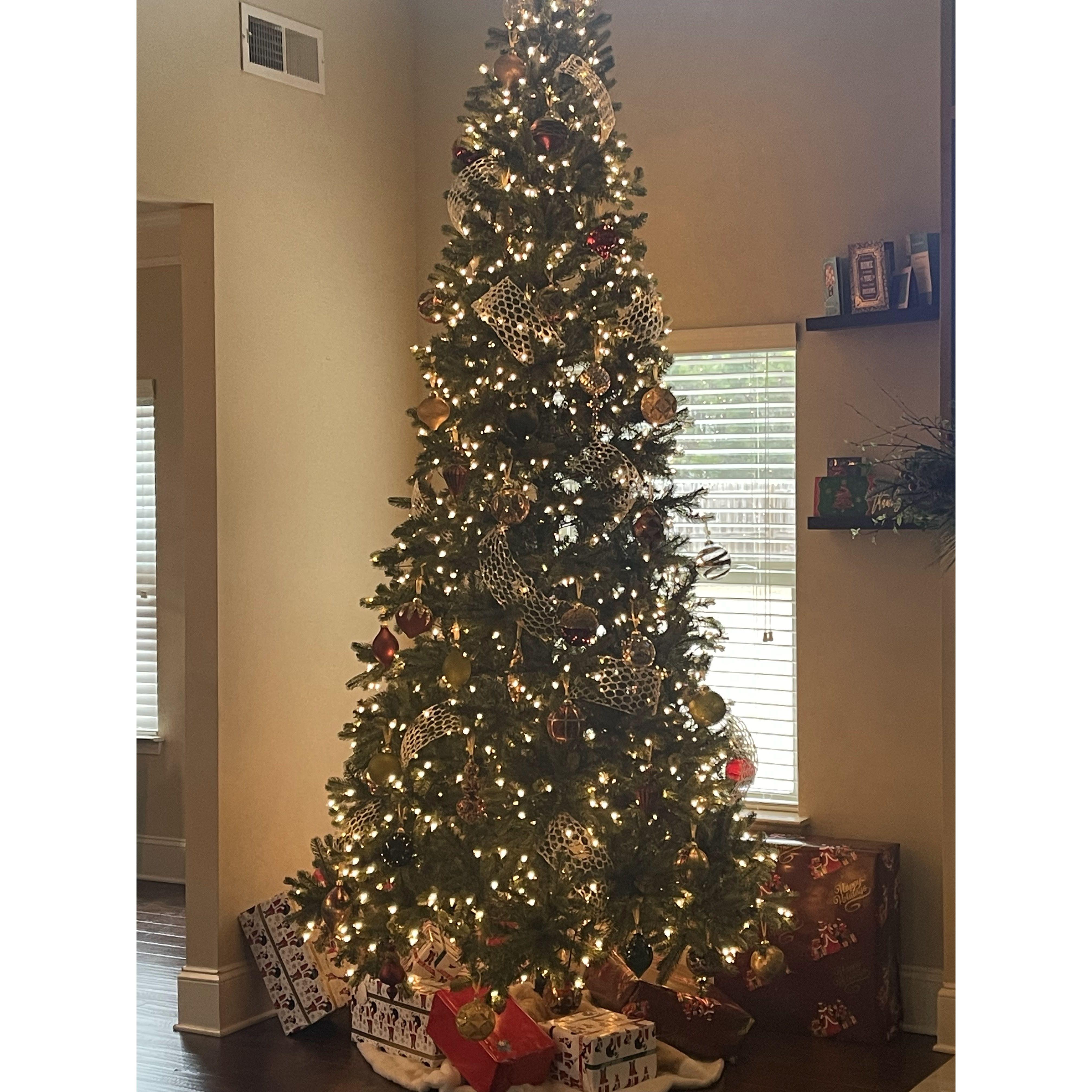 Christmas Season 2022