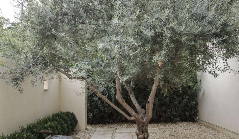 The Wedding Website of Kasie Greeley and Johnny Bryan