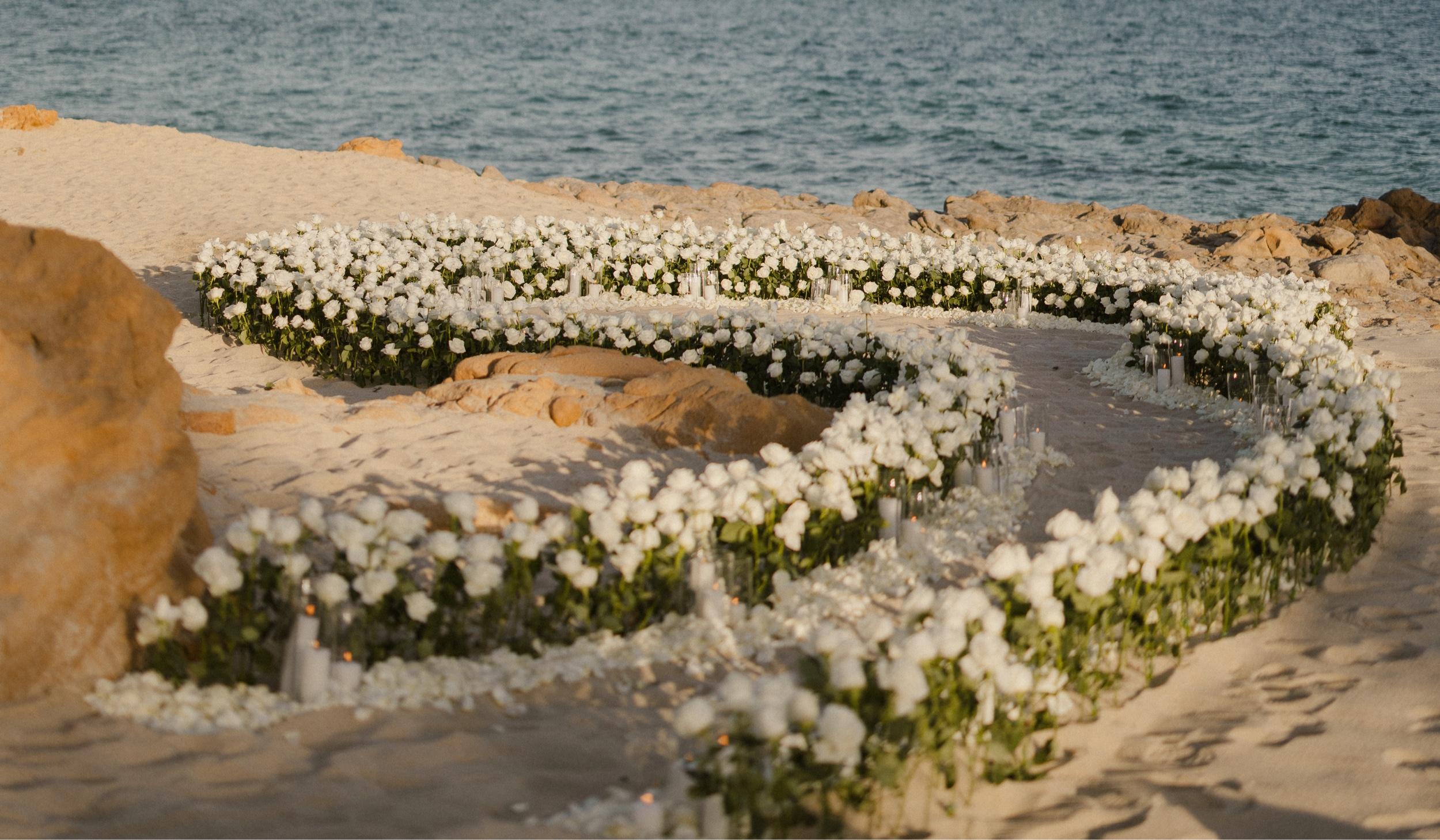 The Wedding Website of Devon Wesselink and Stephanie Erives