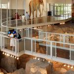Waco Mammoth National Monument