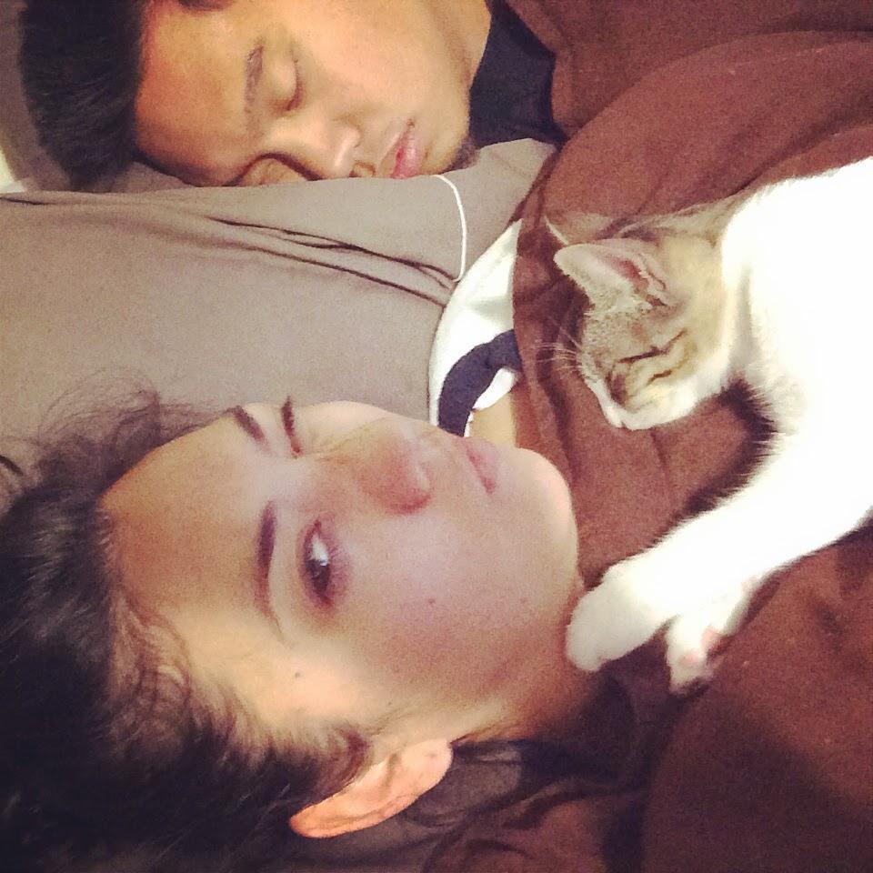 Welcoming Kenobi to the family.