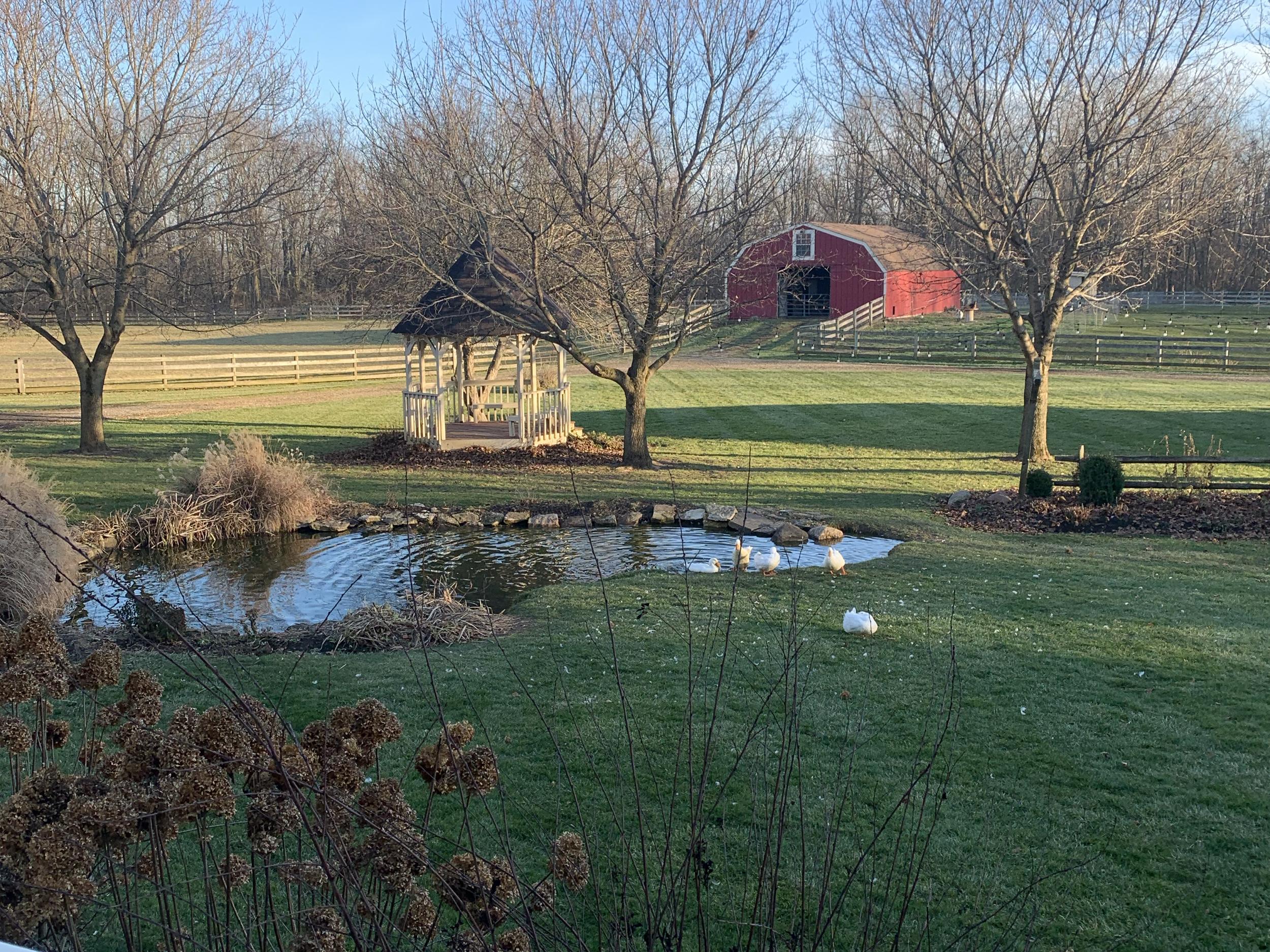 The Wedding Website of Whitney Money and Whitney Risner