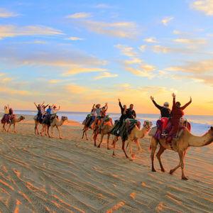 ATV + Camel Ride Adventure
