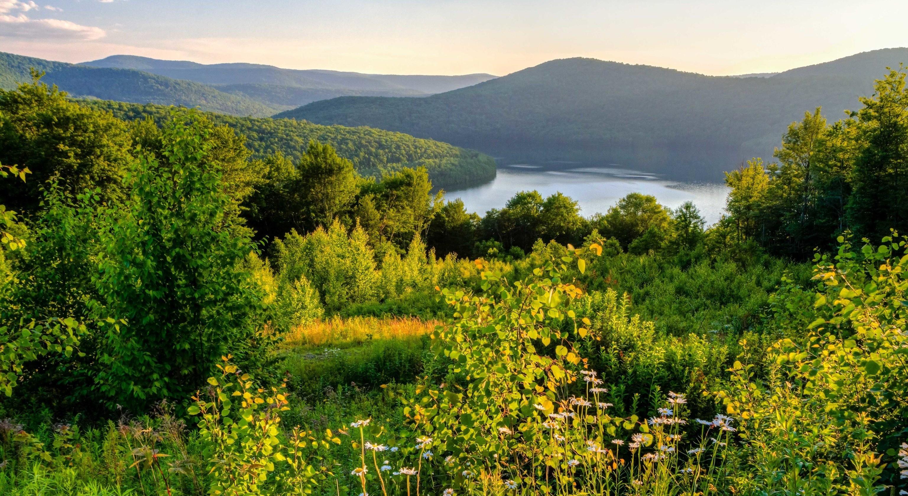 The Wedding Website of Val Gendelsman and Tom Pellegrino