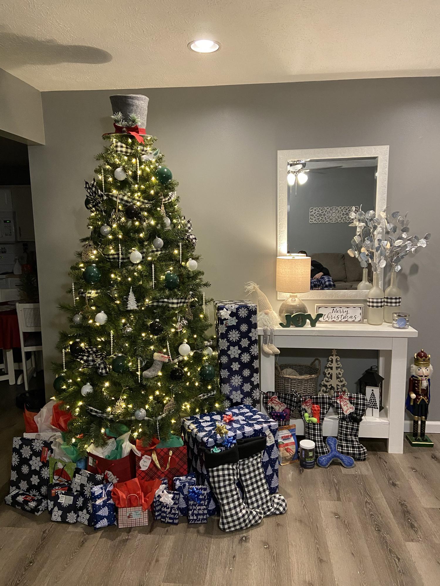 First Christmas in the House 2020