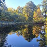 Washington Township Park