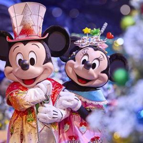 Our Disneyland Fund!