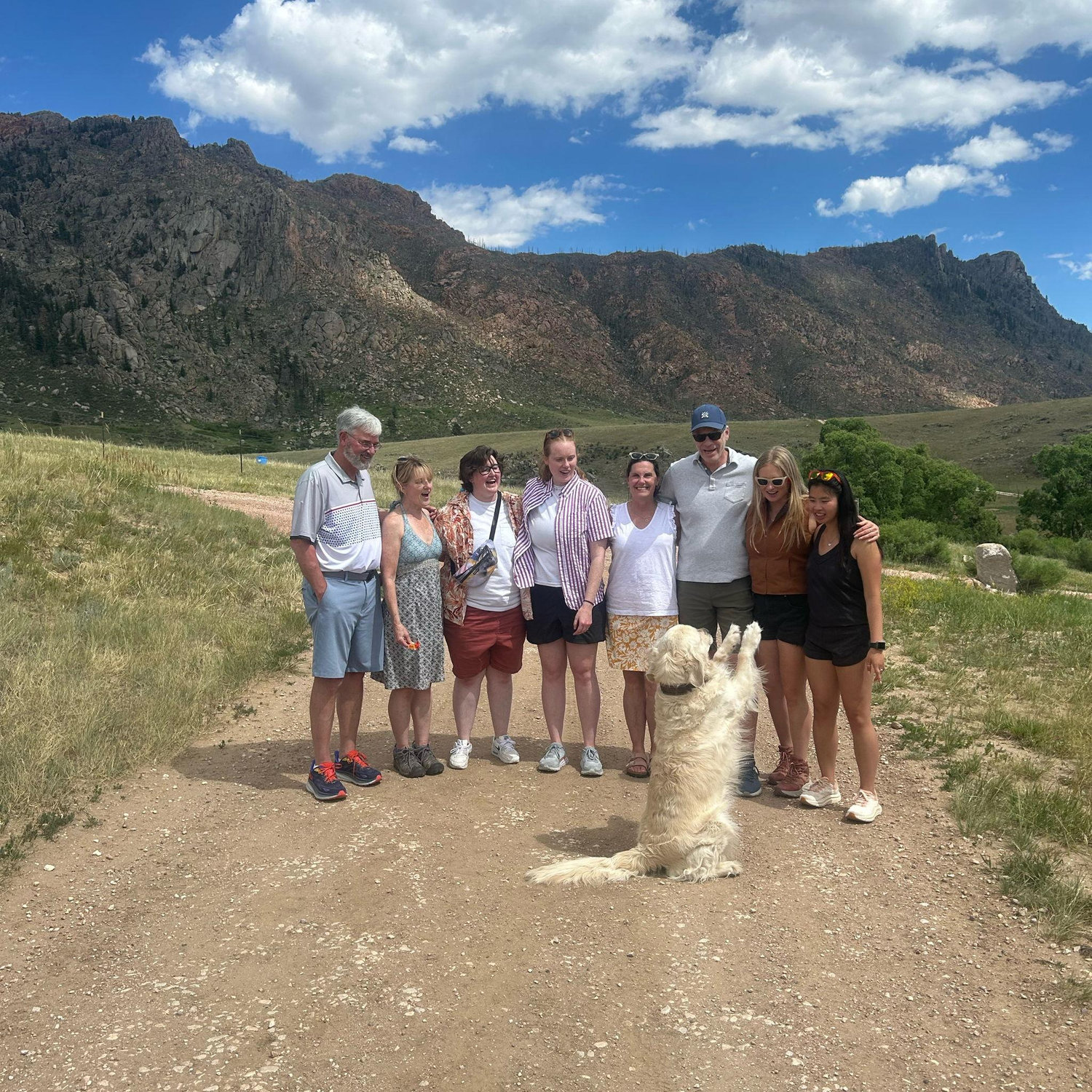 Highland Cow Ranch, Colorado